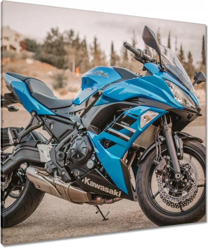 Vászonkép 90x90 Motorkerékpár Kawasaki Ninja