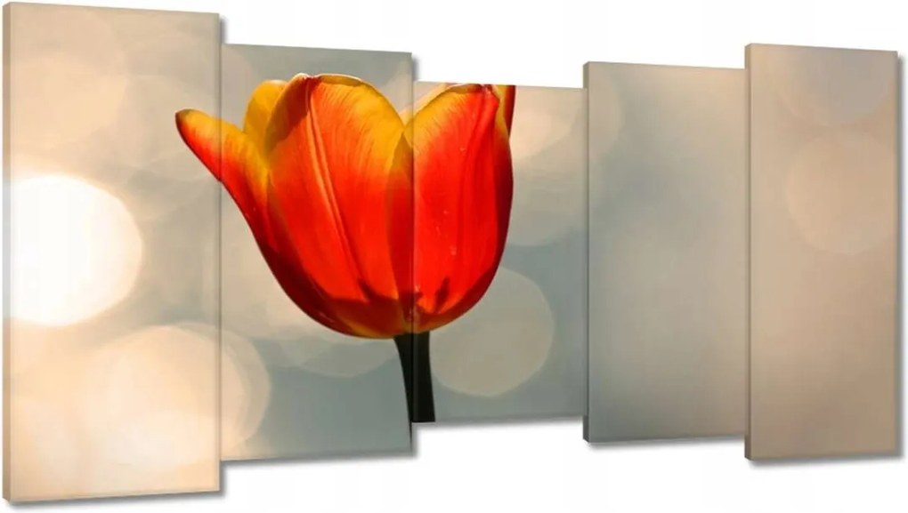 Vászonkép 150x80 Narancssárga tulipán