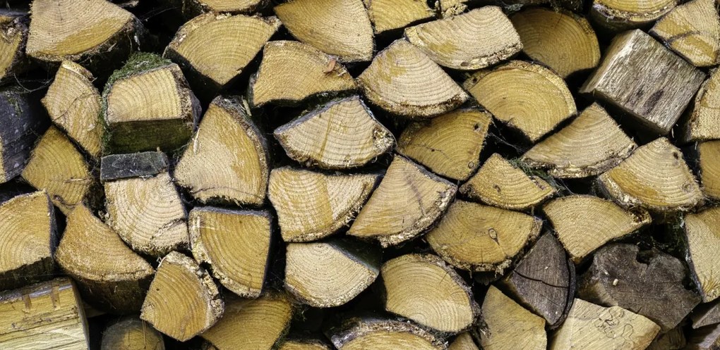 Poszter 91,3x44,5cm Fa rönkök, Assaf Frank