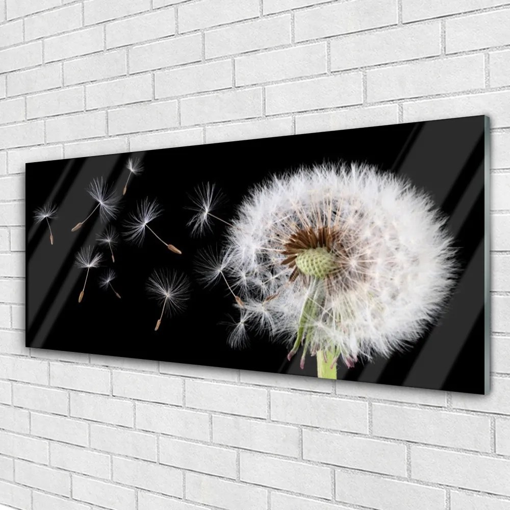 Fali üvegkép Pitypang 120x60cm