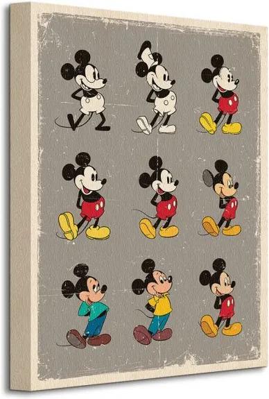 Vászonkép Disney Mickey Mouse (Evolution) 30x40cm WDC92455