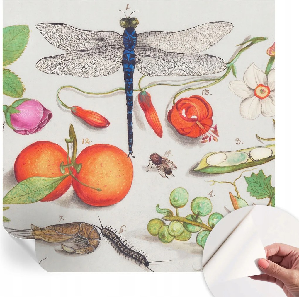 Fotótapéta Öntapadós tapéta a szobába Természeti illusztráció 250x250