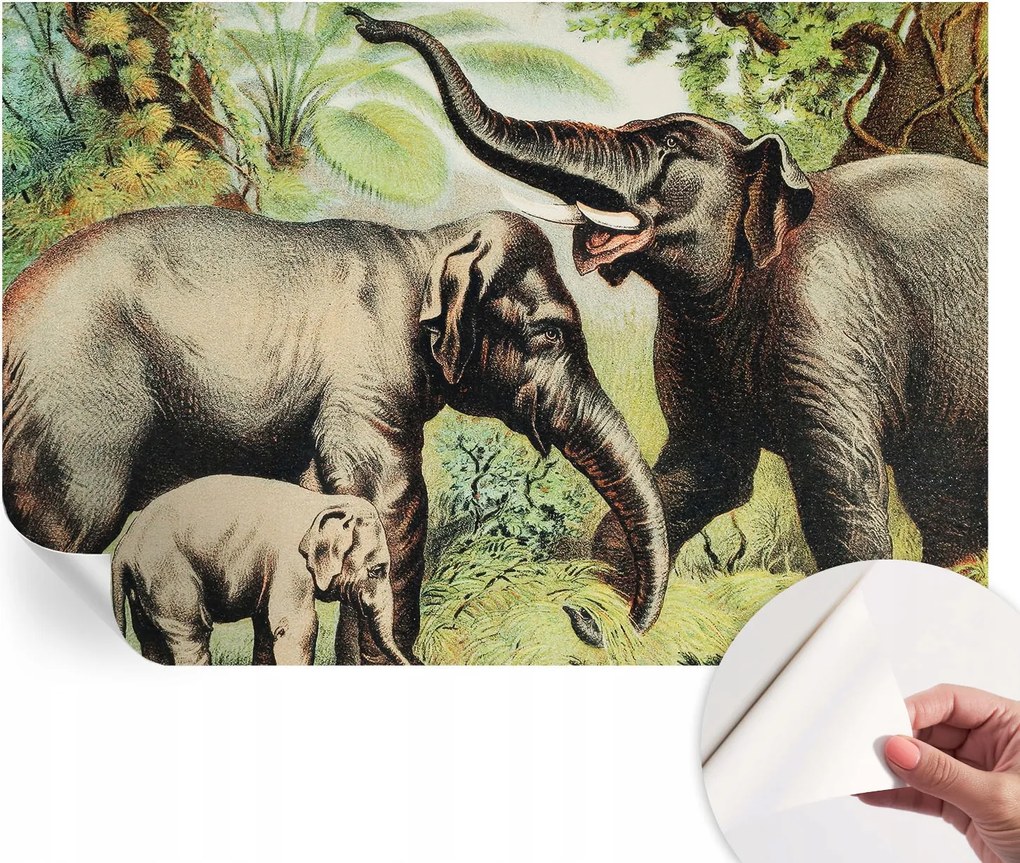 Öntapadós tapéta Divatos 3D fali ragasztóval Családi elefántok 104x70 cm