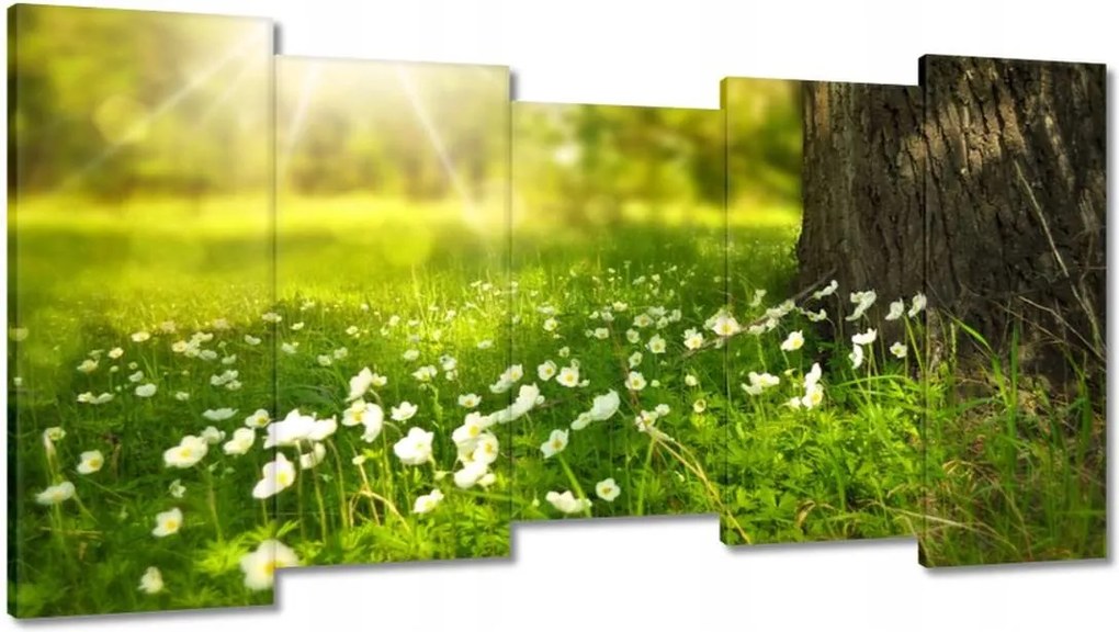 Festmények 150x80 Sugárzás a réten