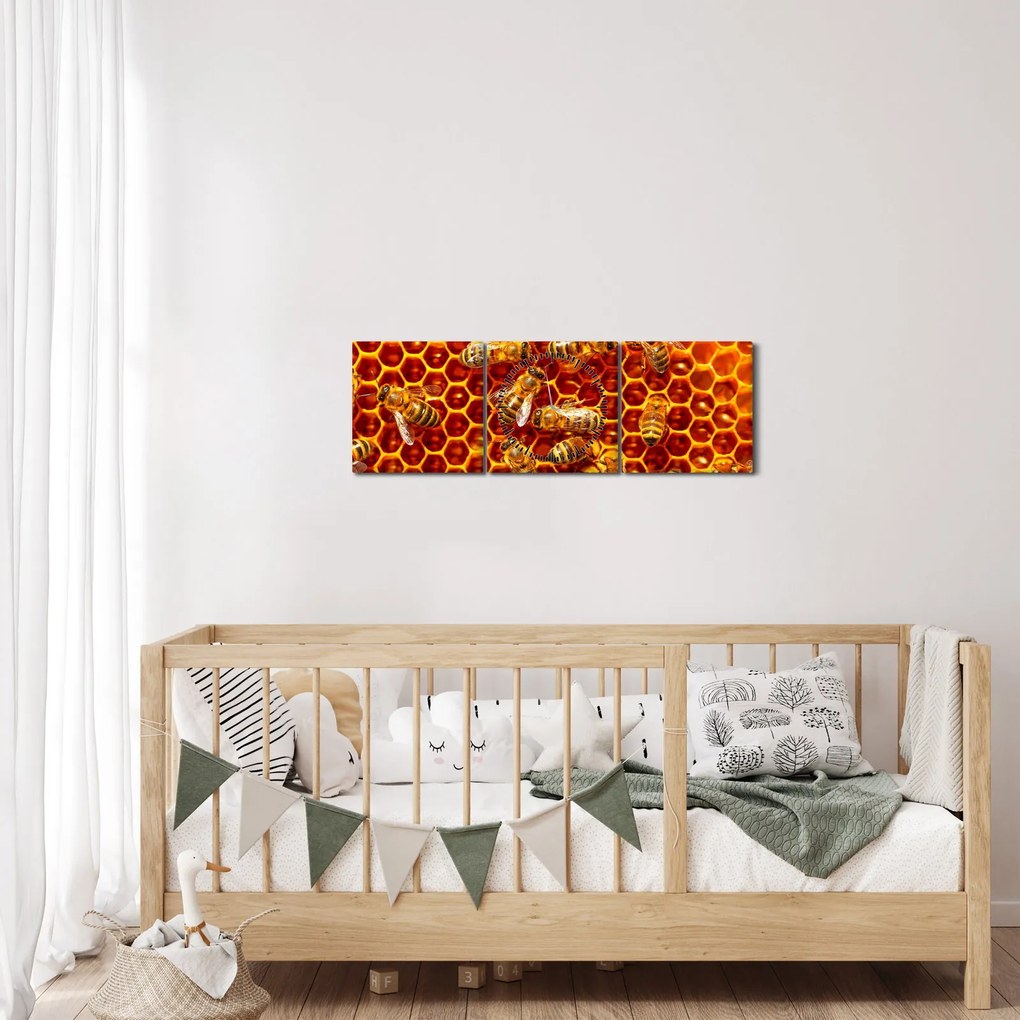 Kép - Méhsejtes (órával) (90x30 cm)