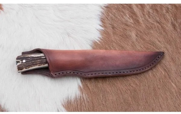 Vadász dispatch kés 12 cm szarvas agancs