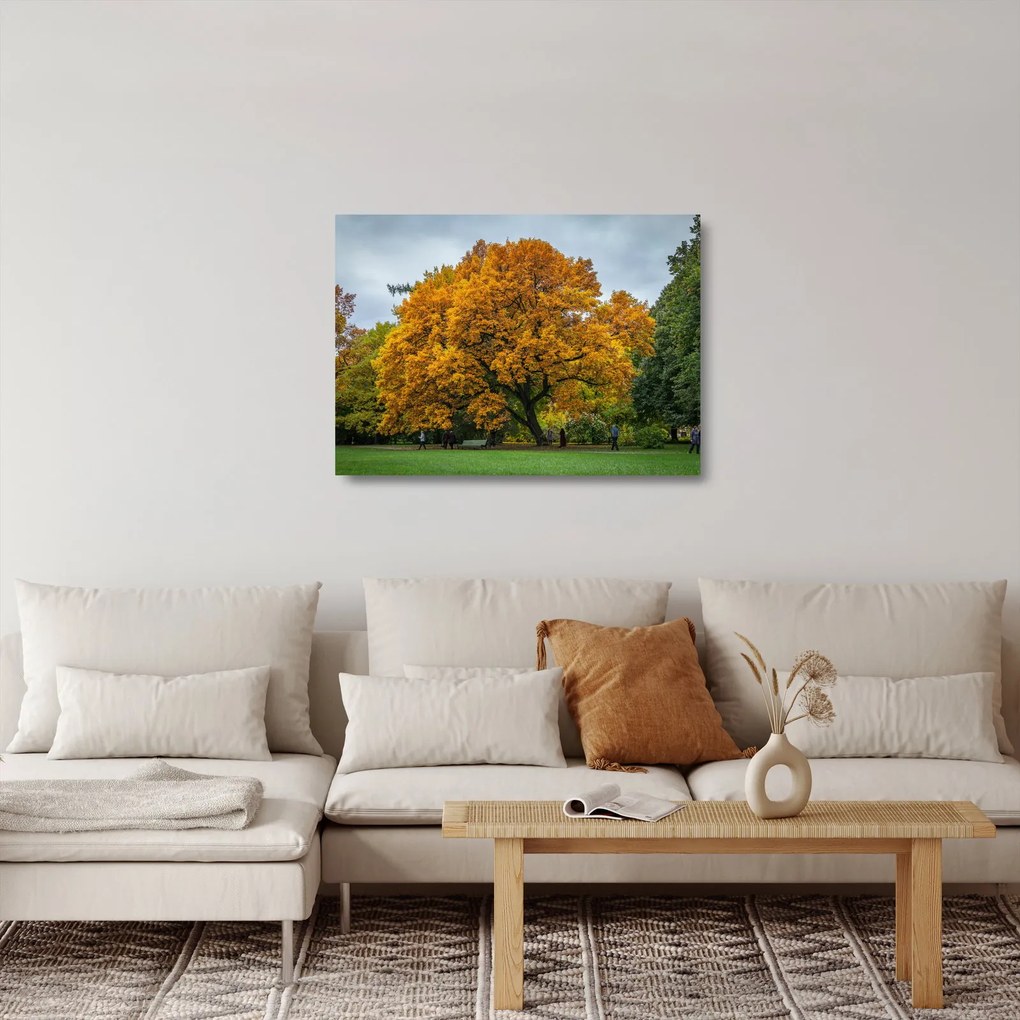 Fa képe (üvegen) (70x50 cm)