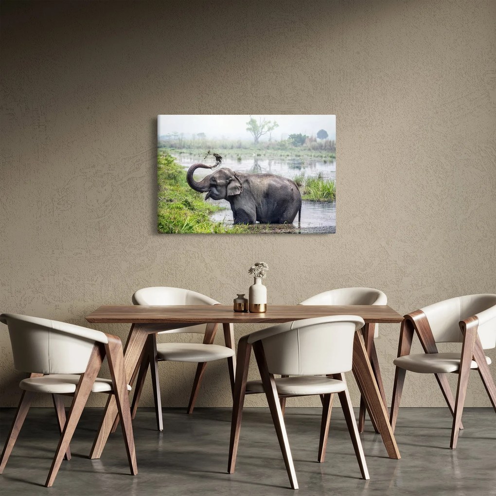 Kép - Fürdőző elefánt (90x60 cm)