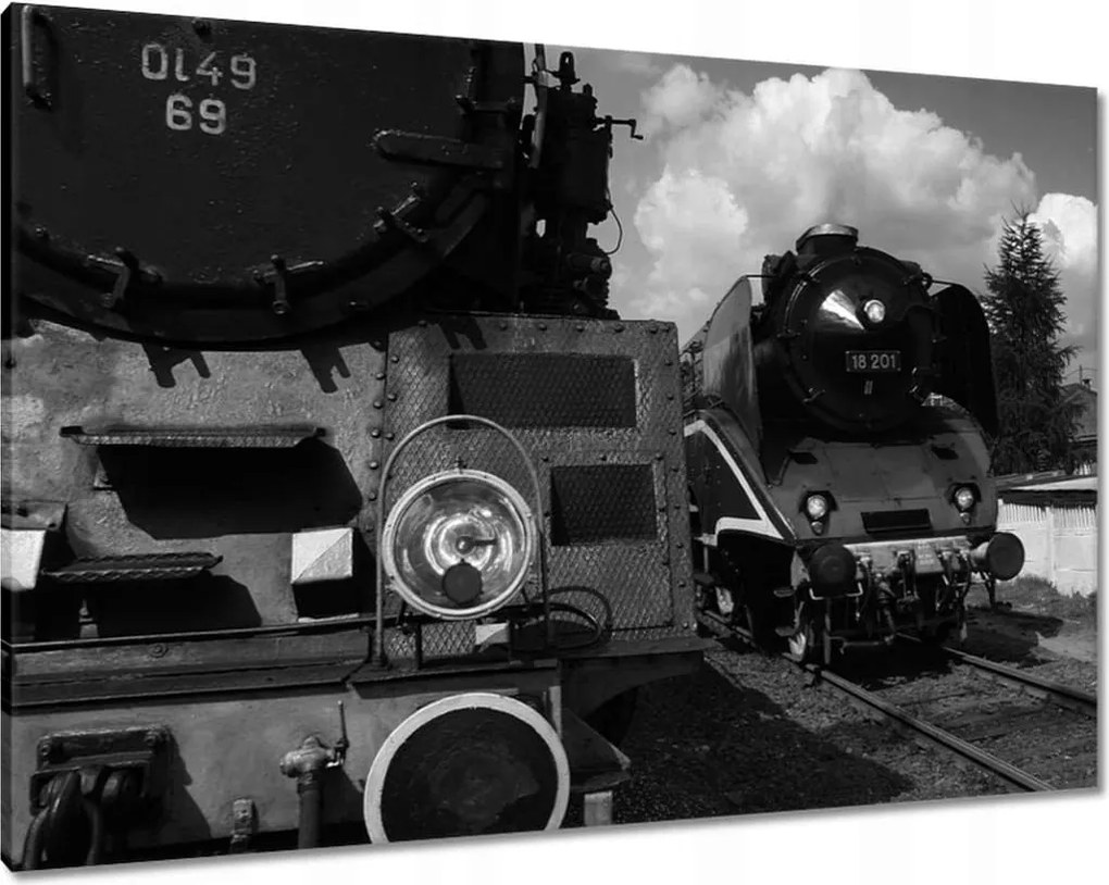 Festmények 100x70 Vonatok Ol49-69 és 18-201