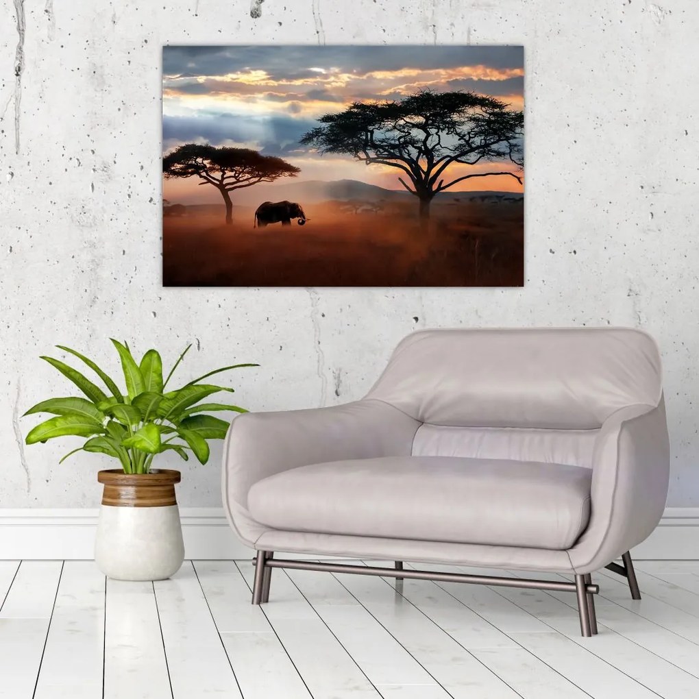 Kép - Serengeti Nemzeti Park, Tanzánia, Afrika (90x60 cm)