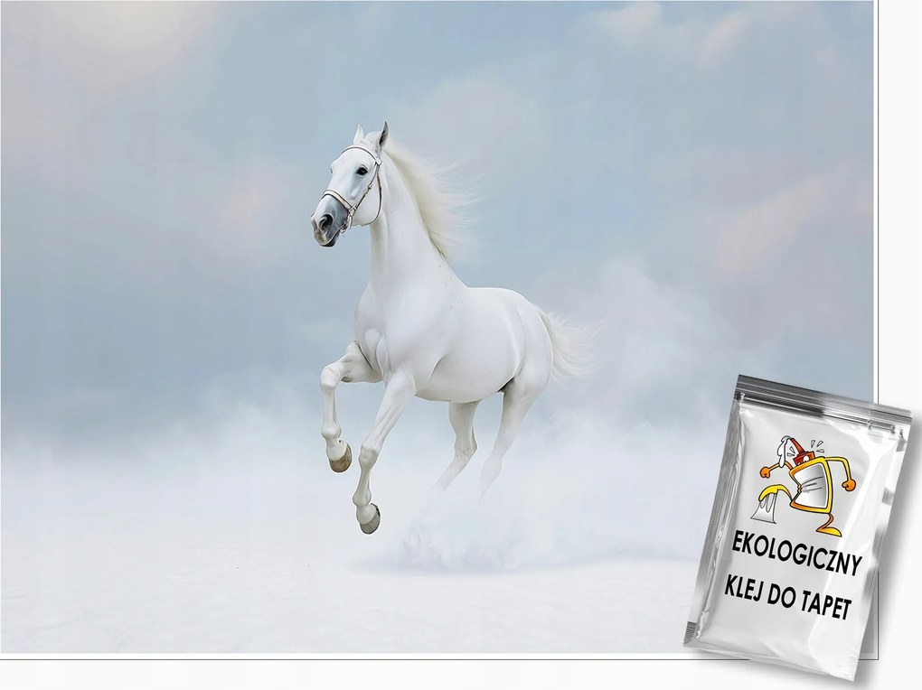 Fotótapéta Ló Fehér Felhők Állatok A Falon Hálószoba Nappali 400x280