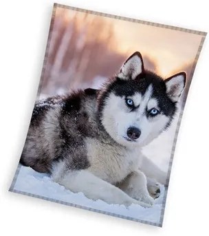 Kutyás Husky coral fleece polár takaró 150x200cm