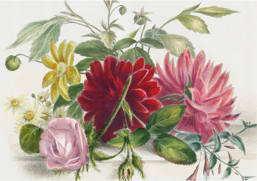 Fotótapéta Flizelin Dekoratív tapéta Virágos csokor 208x146 Ragasztó