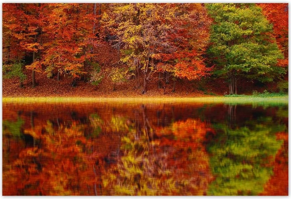 Poszterek 200x135 Őszi táj