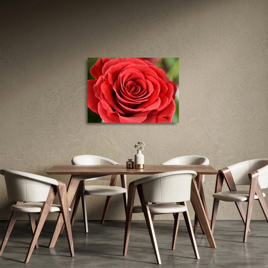Egy rózsa virág képe (üvegen) (70x50 cm)
