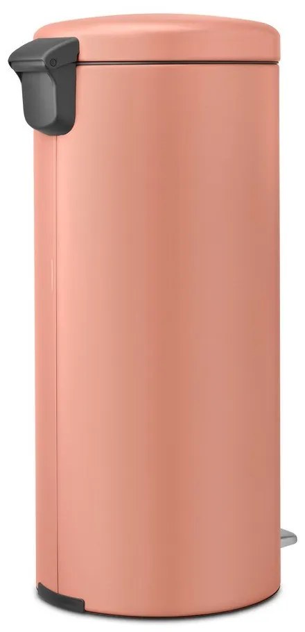 Lazacszínű acél pedálos szemetes 30 l NewIcon – Brabantia
