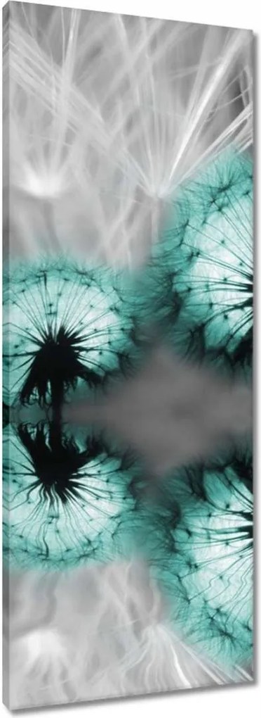 Vászonkép 40x100 Türkiz pitypang virág