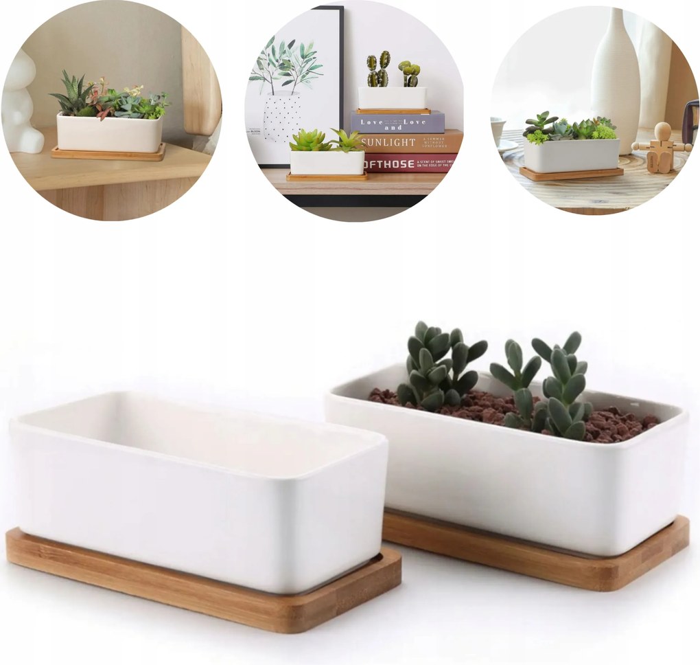 2x Kis kerámia kaspó bambusz alátét pozsgás kaktuszok