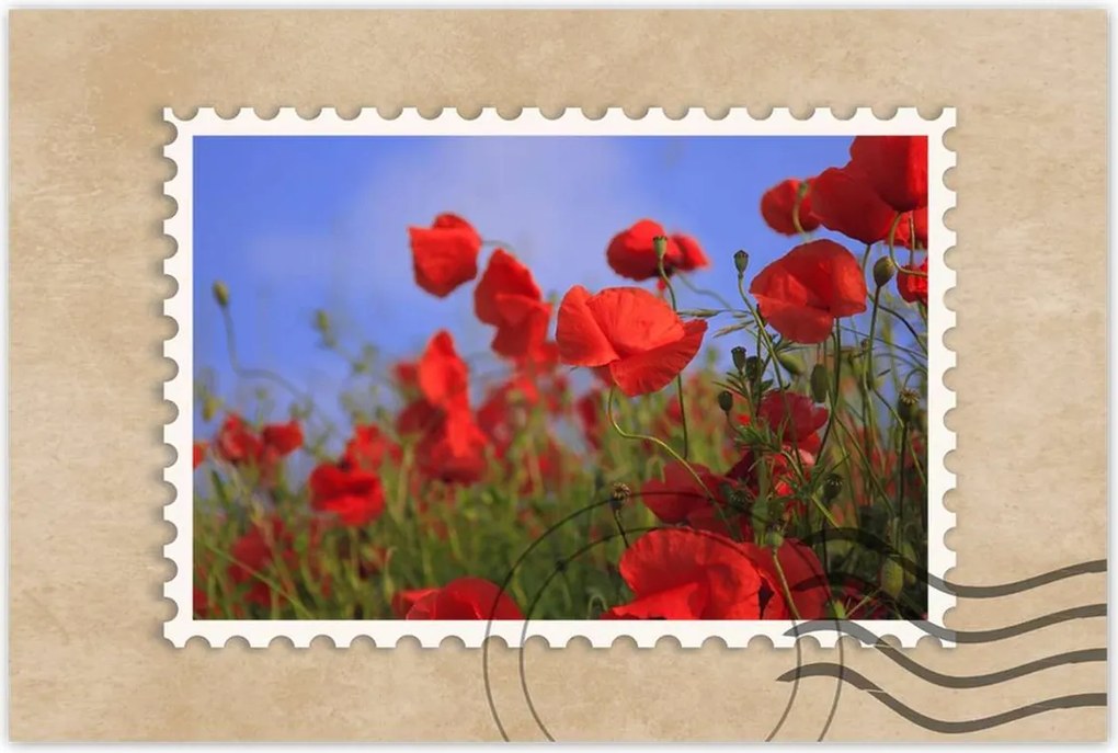 Poszterek 90x60 Pipacsok az égbolt hátterében