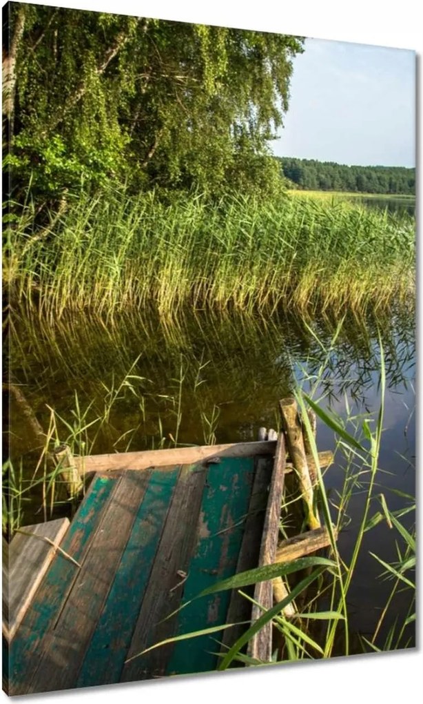 Vászonkép 70x100 Szúnyogok