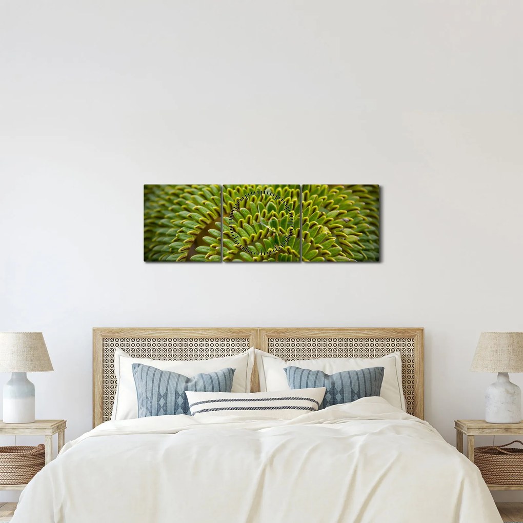 Kép - Fern (órával) (90x30 cm)
