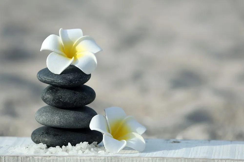 Öntapadó fotótapéta harmonikus kövek és plumeria virág