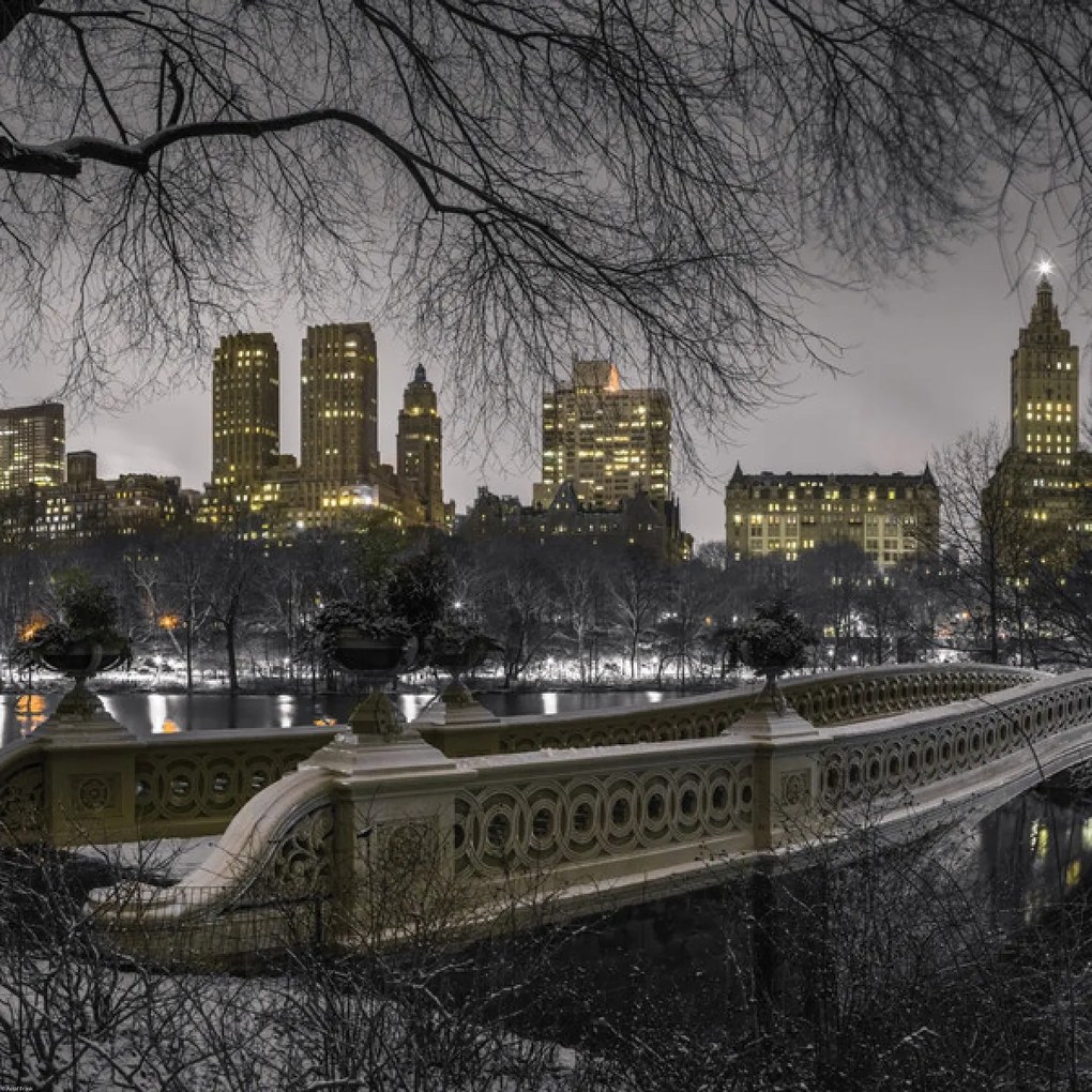 Poszter 60x60cm Központi park Manhattan panorámával, Assaf Frank