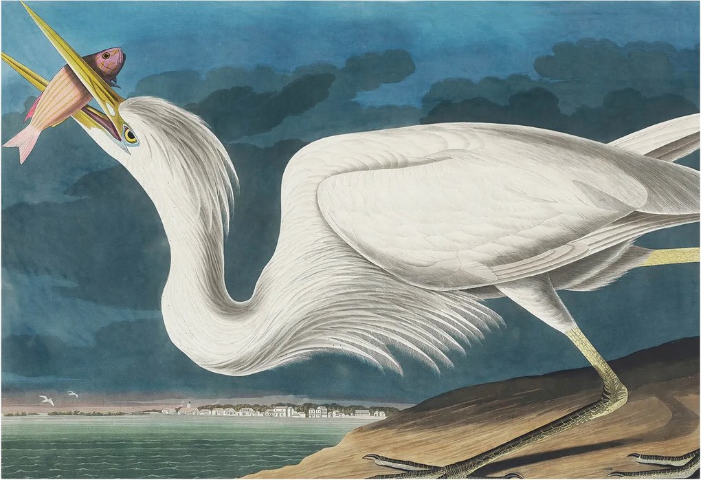 Flizelin fotótapéta Flizelin Design Madár halakkal 152x104 Ragasztó