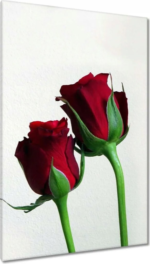 Vászonkép 80x120 Vörös rózsák neki