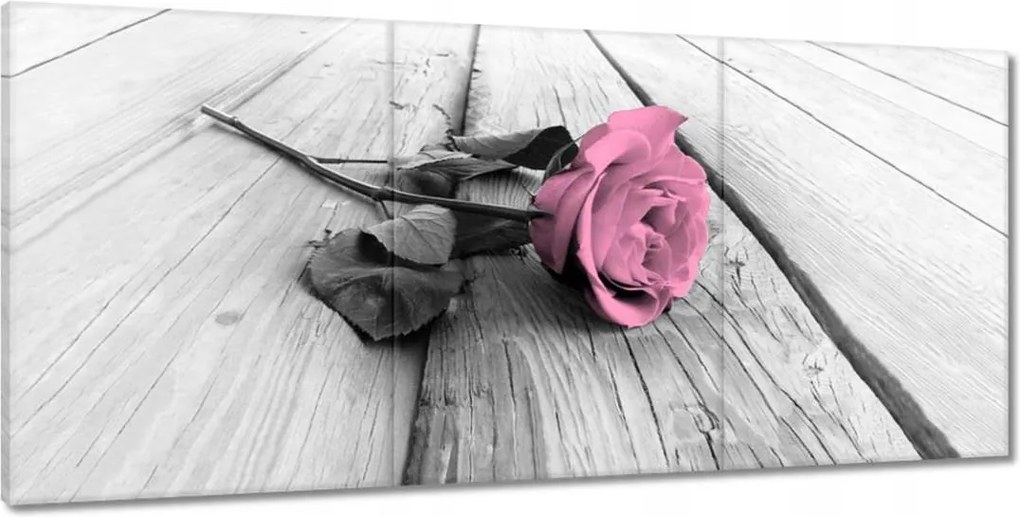 Festmények 210x100 Rózsa világos deszkákon