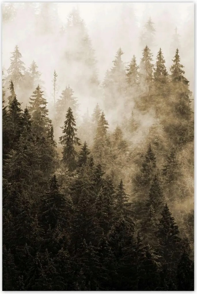 Fotótapéták 169x254 Tájkép Szépia Hegyek Köd