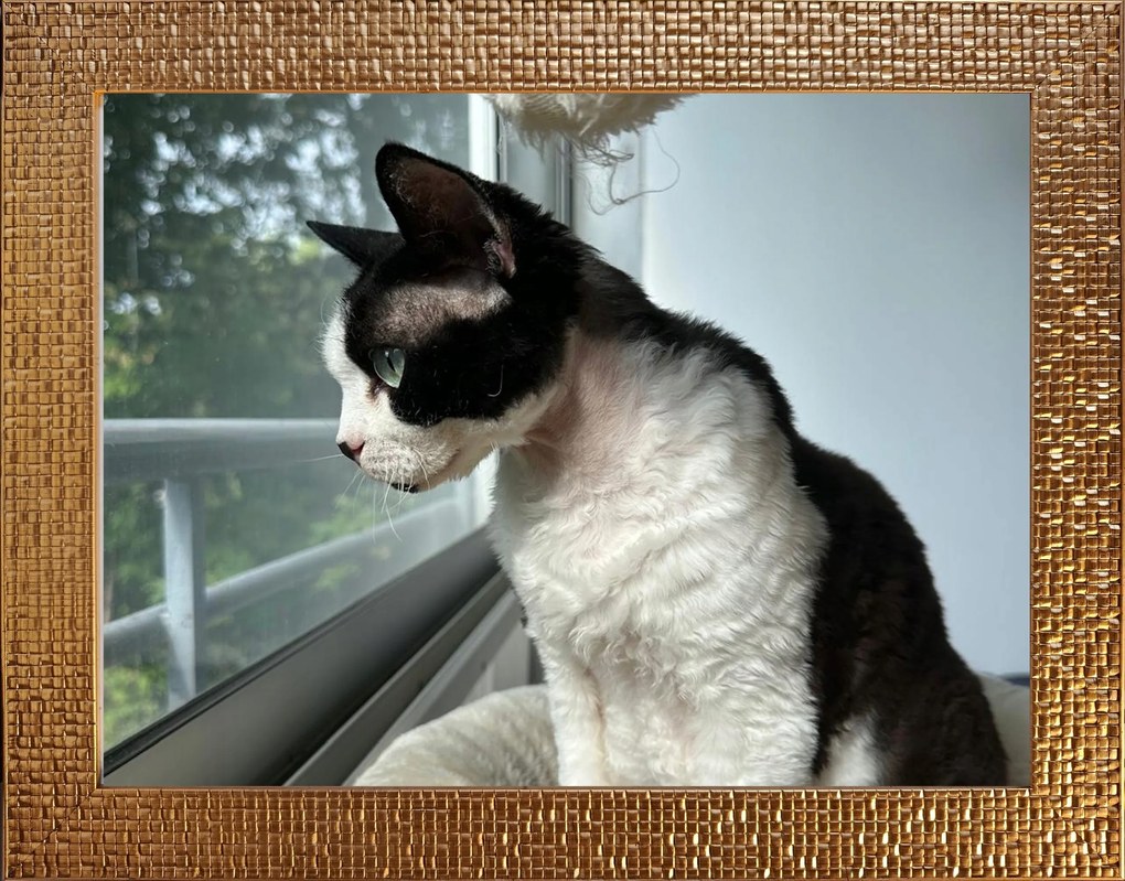 MID Keret Felakasztható Képek Puzzle 30X40 4 CM Arany