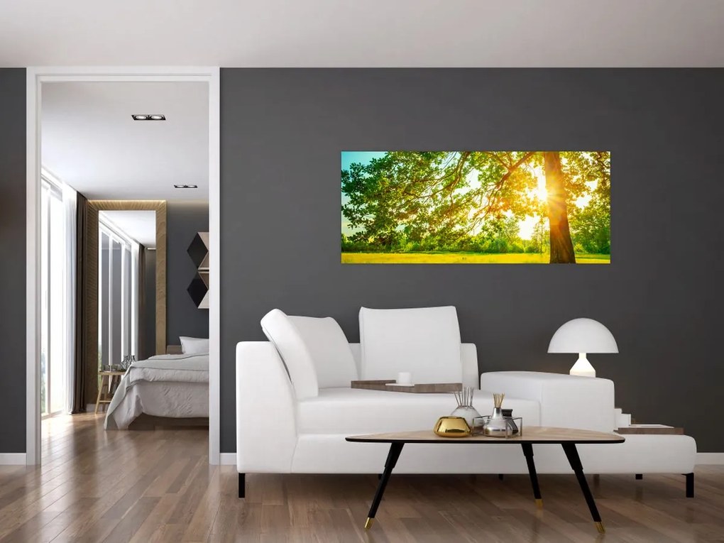 Kép - Sunny Forest (120x50 cm)