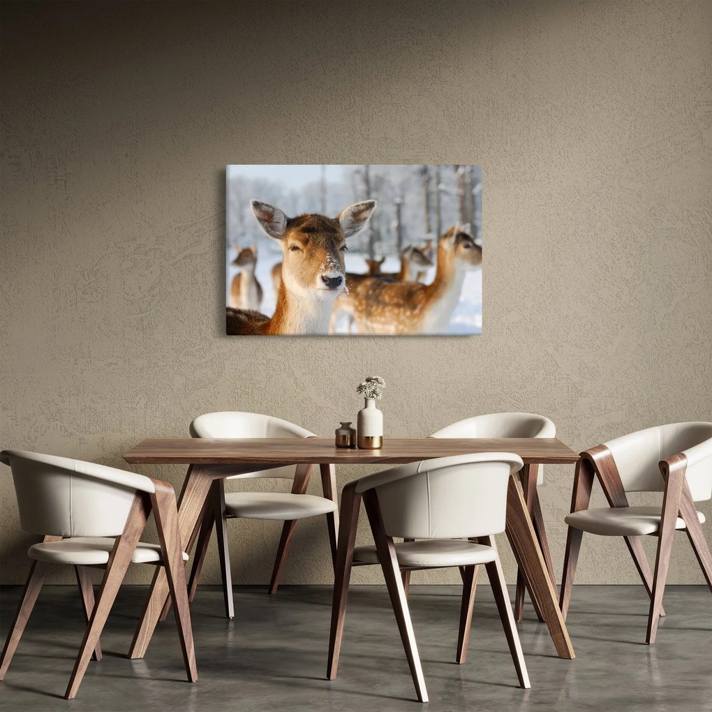 Kép - Szarvas (90x60 cm)
