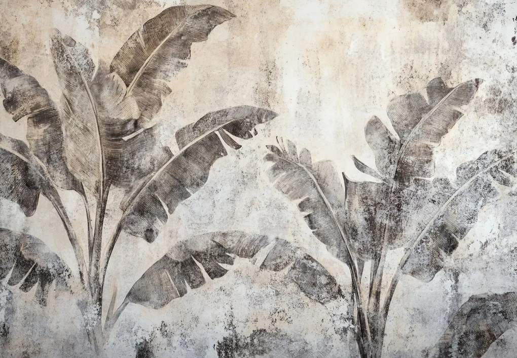 Fotótapéta - Banánfa a falon (147x102 cm)