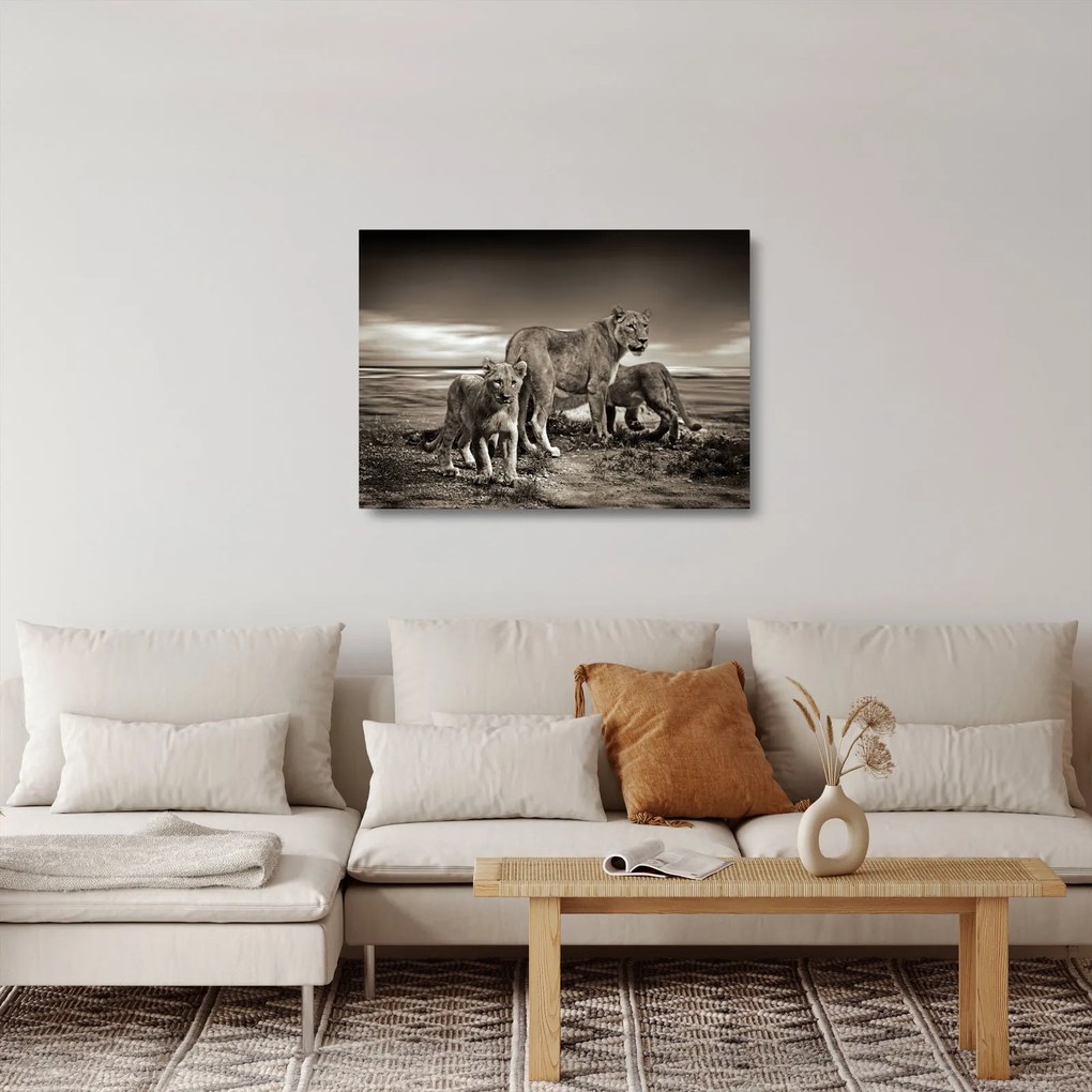 Fekete fehér tigris képe (üvegen) (70x50 cm)