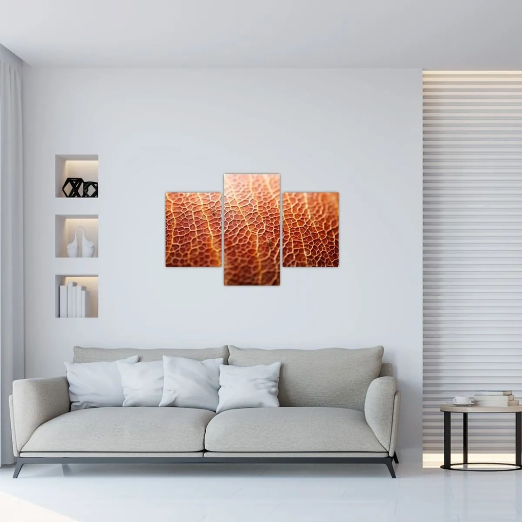 Kép - Textúra részlet (90x60 cm)