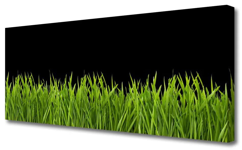 Vászonkép Green Grass Nature 100x50 cm