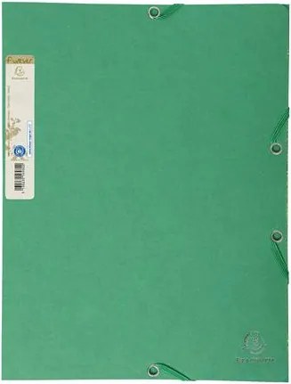 Gumis mappa, karton, A4, EXACOMPTA Forever®, zöld (EX56983E)