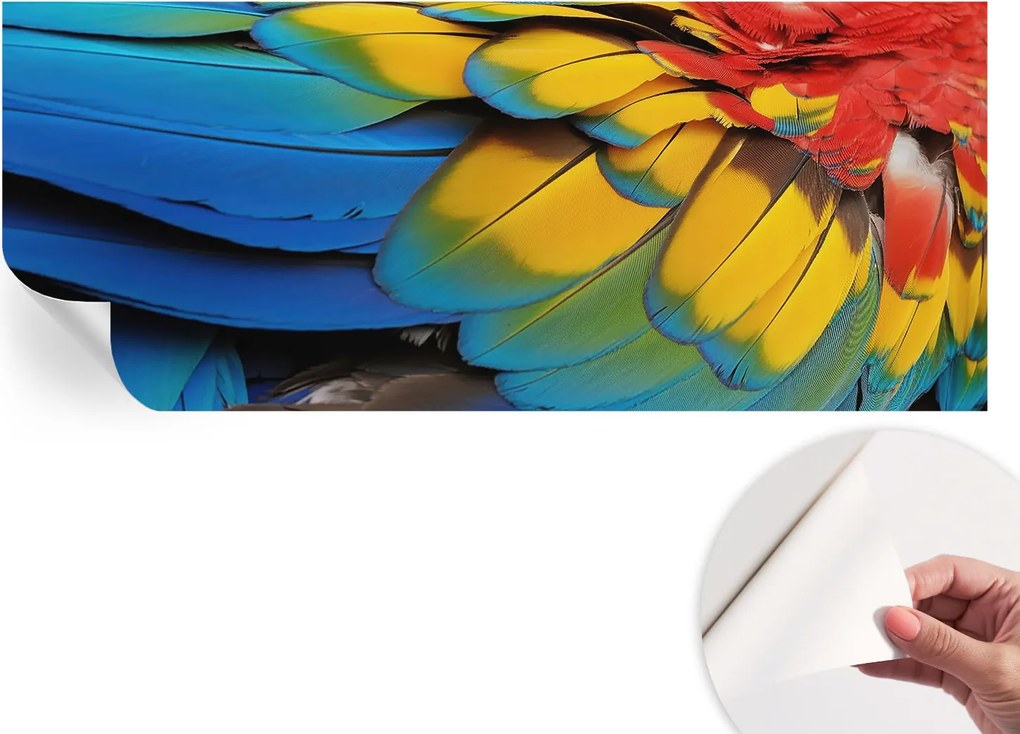 Dekoratív öntapadós fotótapéta irodába Szivárvány tollak 250x104 cm