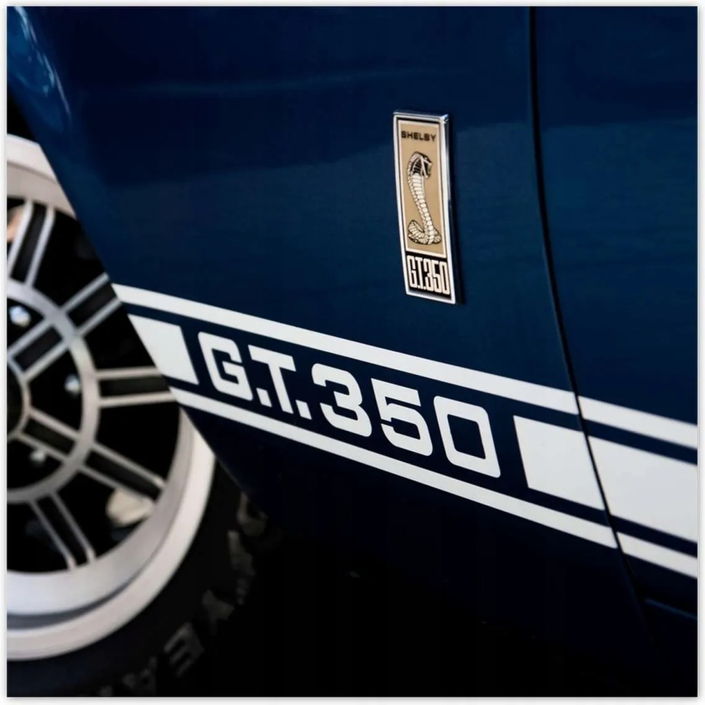 Poszterek 100x100 Ford Mustang Shelby Cobra
