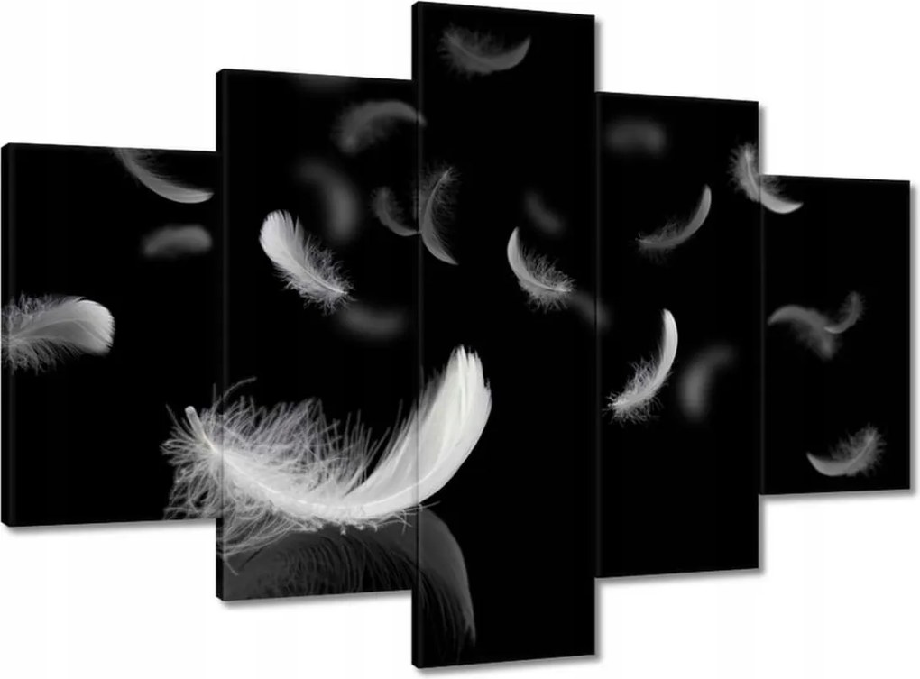 Képek 150x105 Hulló fehér tollak