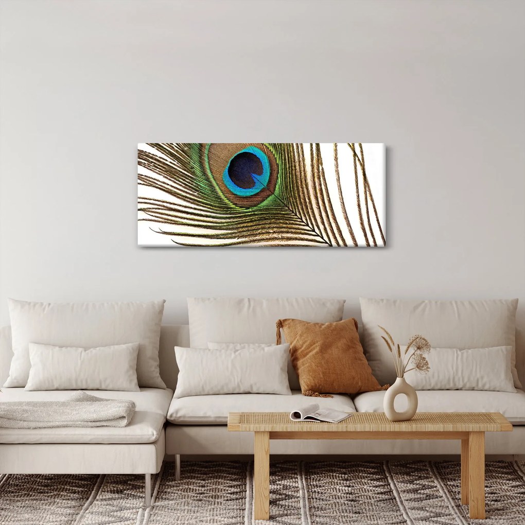 Pávatoll képe (120x50 cm)