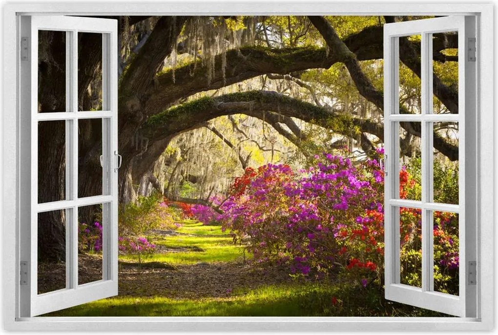 Poszterek 120x80 Virágok a parkban