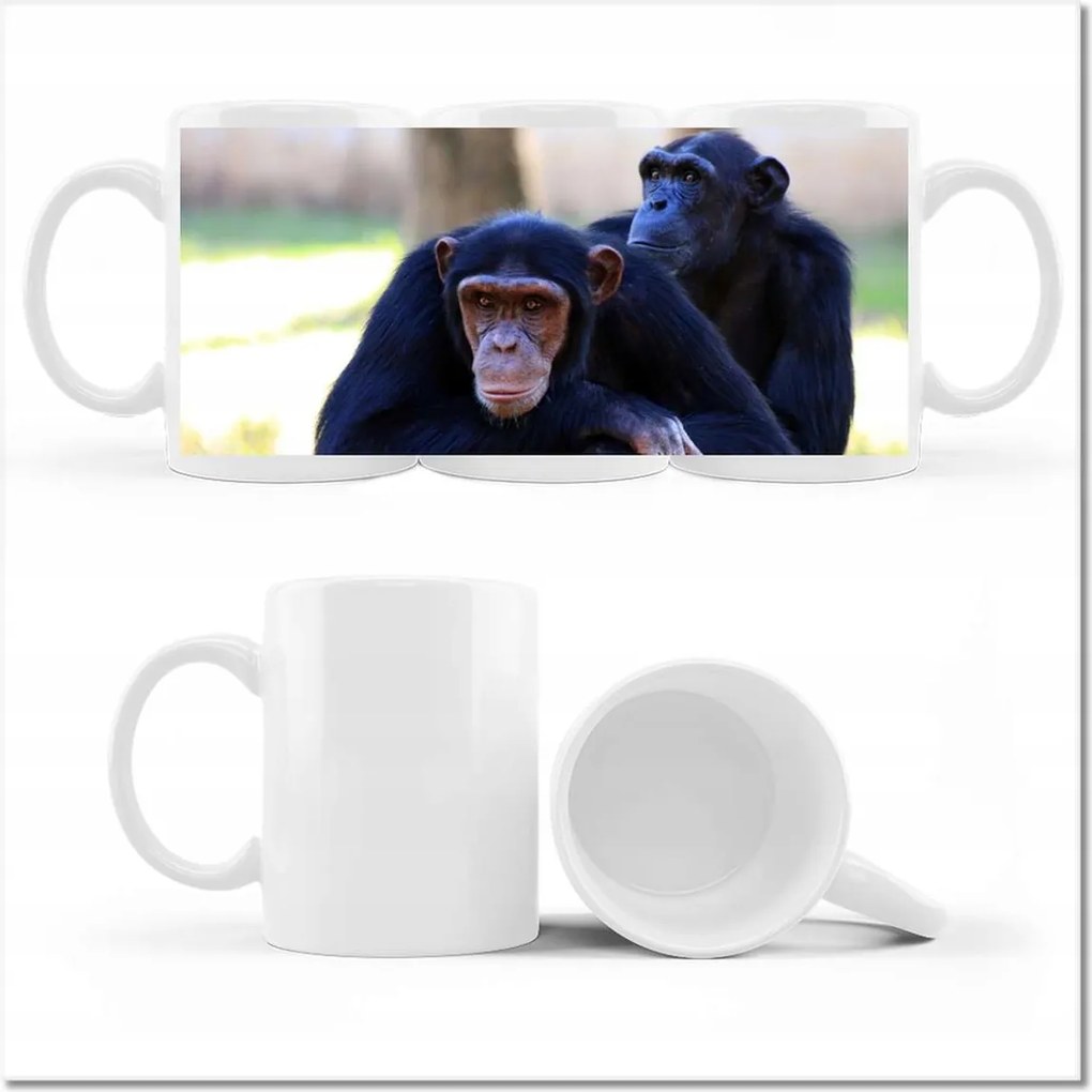 Csimpánz fényképes bögre
