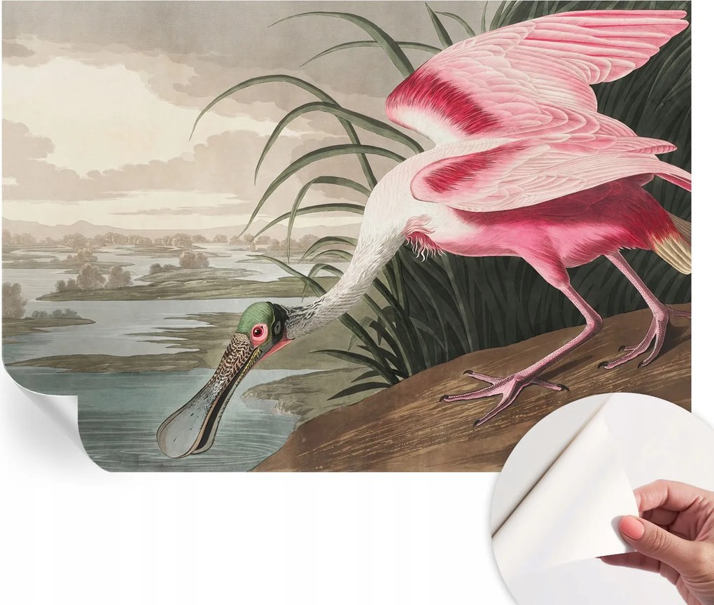 Öntapadós fotótapéta Konyha Mosható Egzotikus madár 152x104 cm