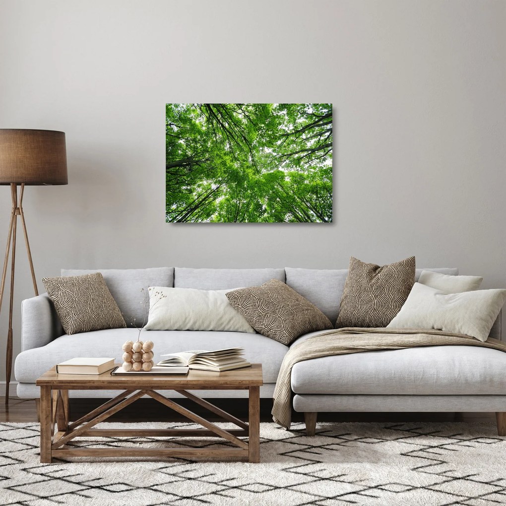 Kép - Kilátás a fák tetejére (üvegen) (70x50 cm)