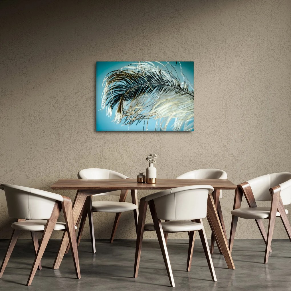 Tollas kép (70x50 cm)