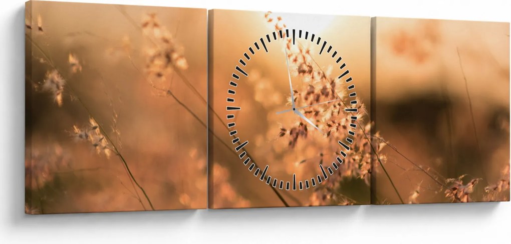 Kép - Fű a napon (órával) (90x30 cm)
