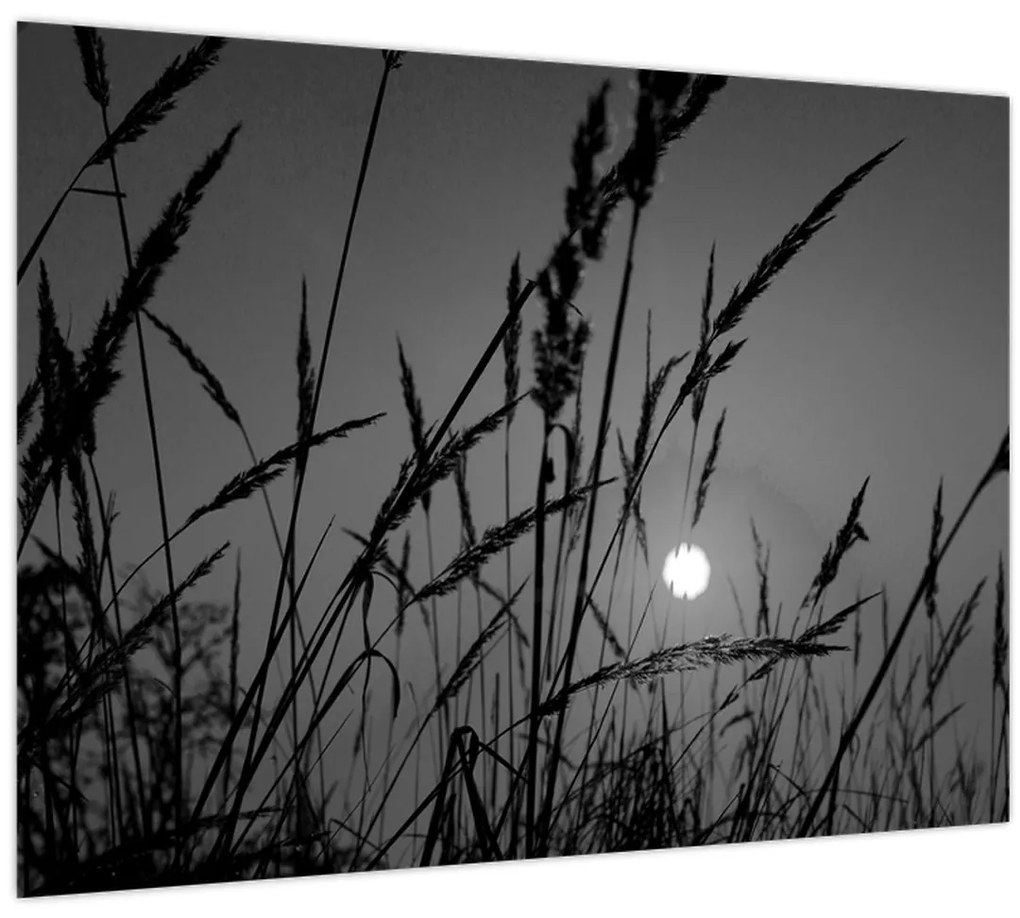 Üveg kép - rét naplementével (70x50 cm)